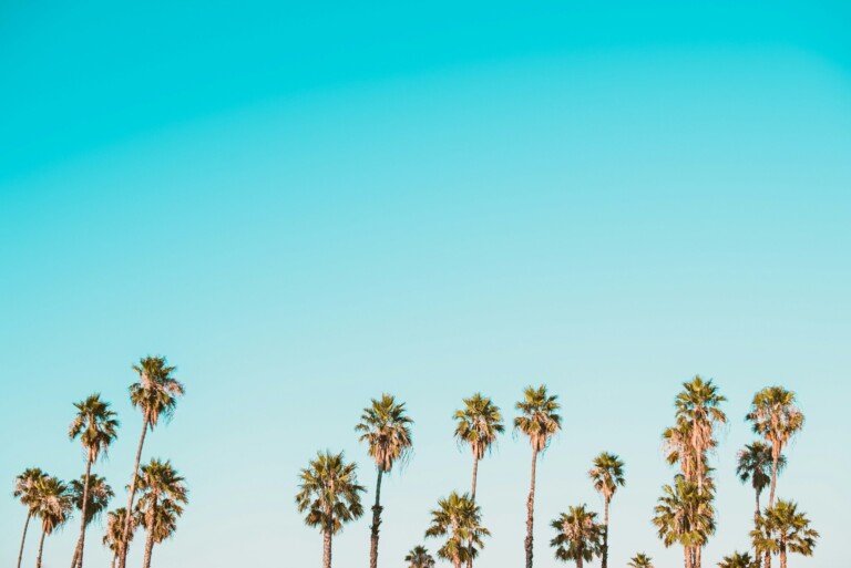 ¿Canción del verano? Nuestras 5 apuestas